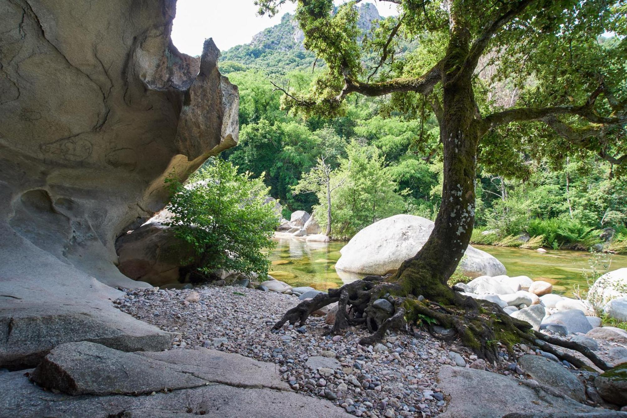 Camping Les Oliviers Porto  Exterior foto
